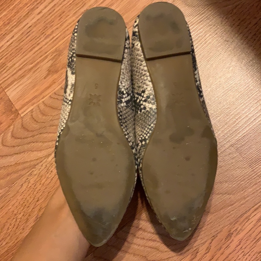 Bcbgeneration Snake Print Pointed Flats | Size 5 - image 2